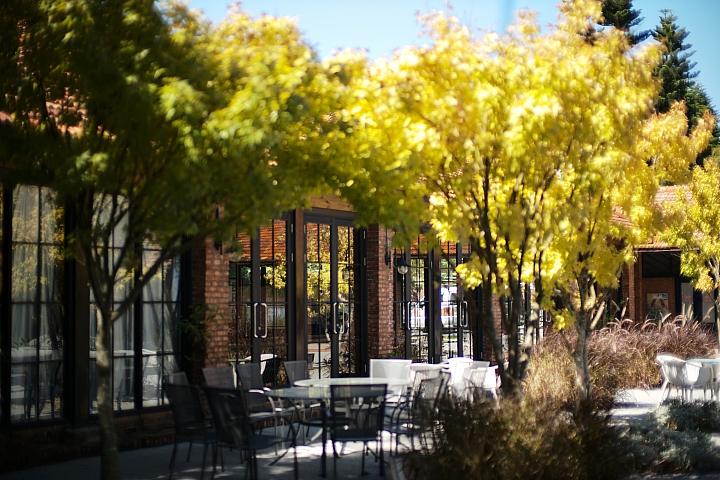 反璞归真2.0,反璞归真005