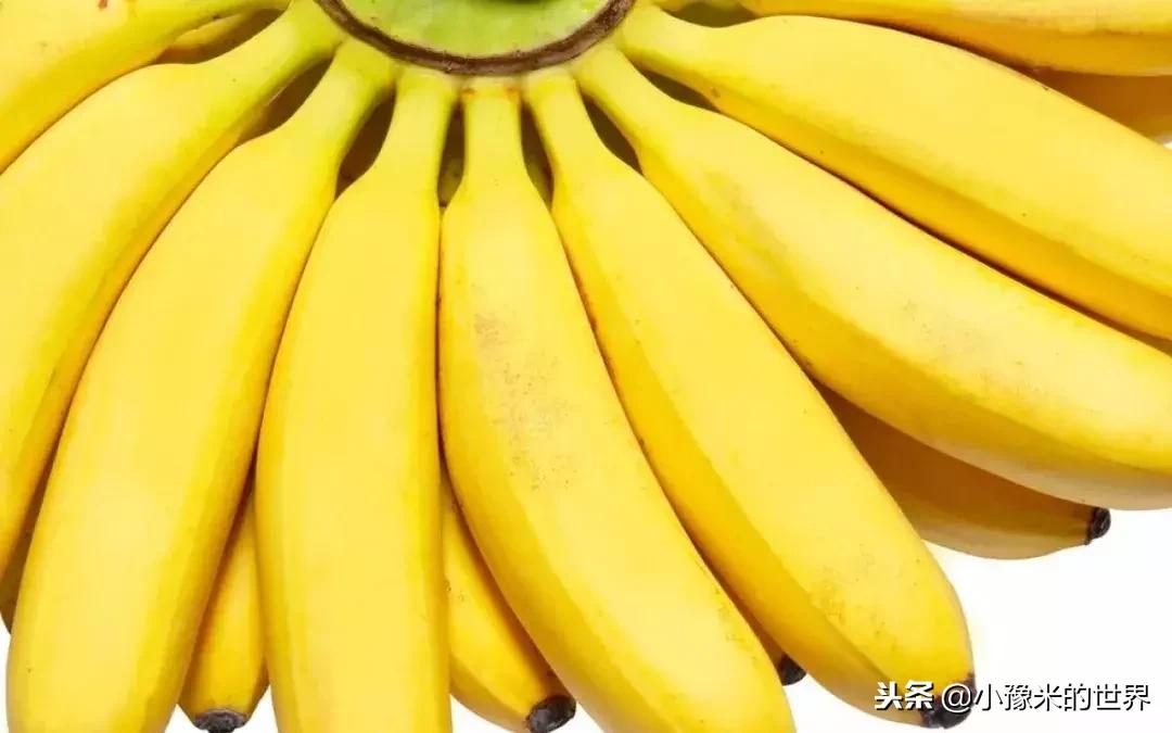 新闻早报10.5,新闻早报12.14