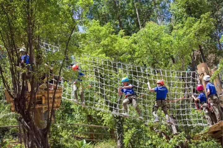 可拉熊团购,熊出没9.9元门票