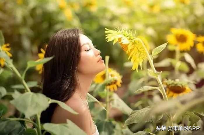 柬埔寨波贝不止有“菠菜”，还有美女和花海