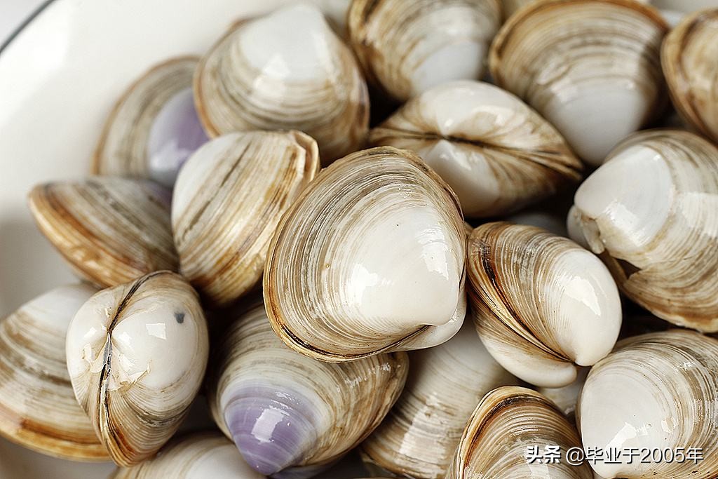 大连海鲜吃货,大连海鲜的种类