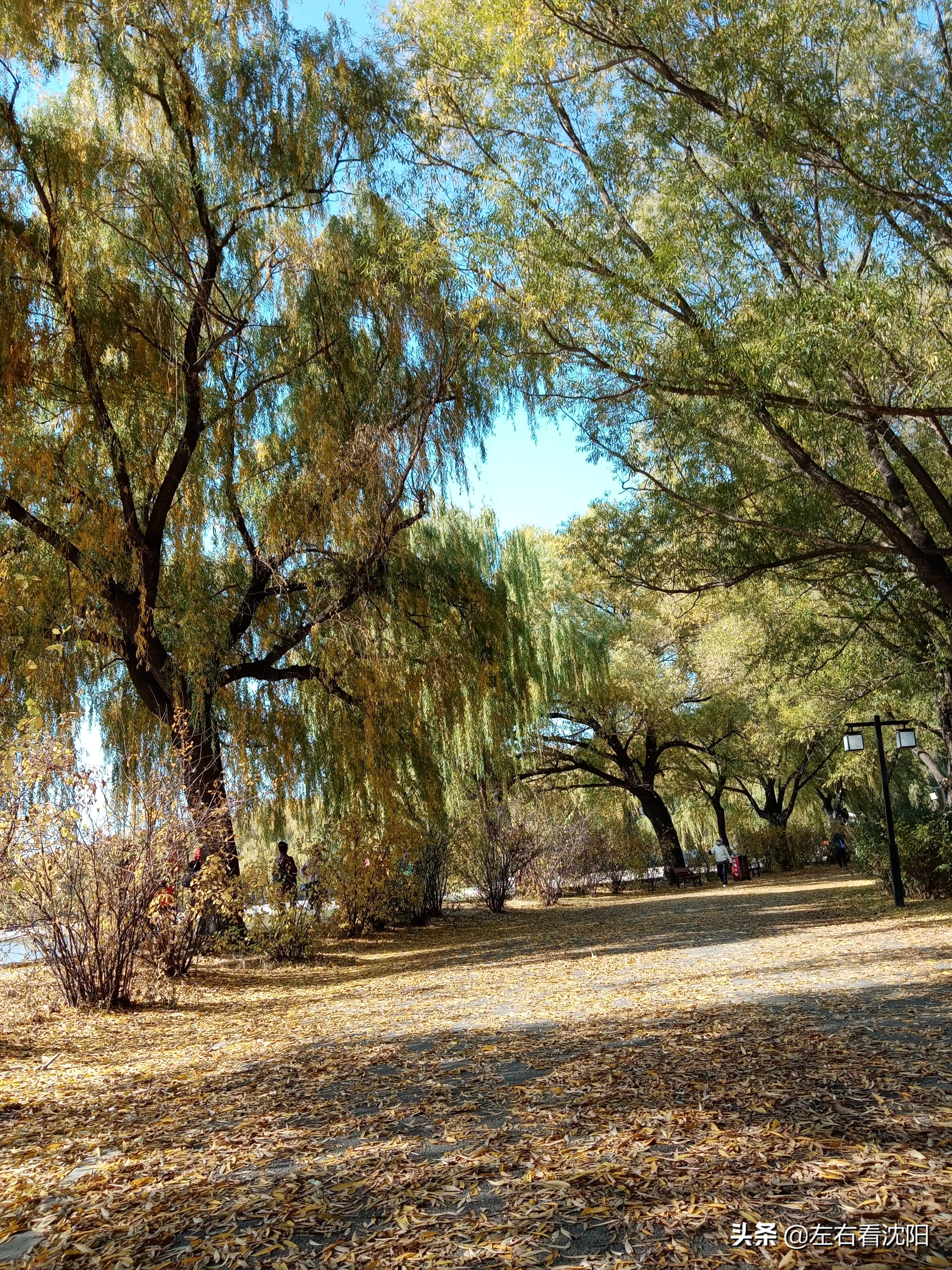秋季沈阳北陵公园有啥好玩的,漫步沈阳北陵公园湖水边