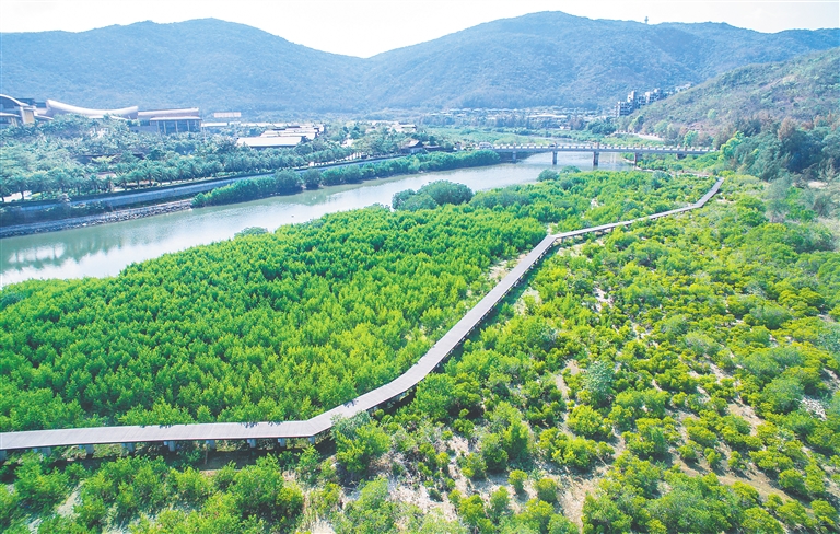 海南岛最神秘海滩,海南珍珠海岸