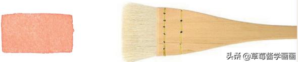 各种材质、形状的水彩画笔到底该怎么用?丨自学画画教程NO.5