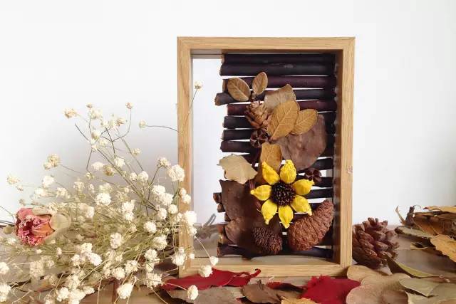 她31岁放弃北漂,回归自然,用枯枝败叶,打造了一个梦幻森林