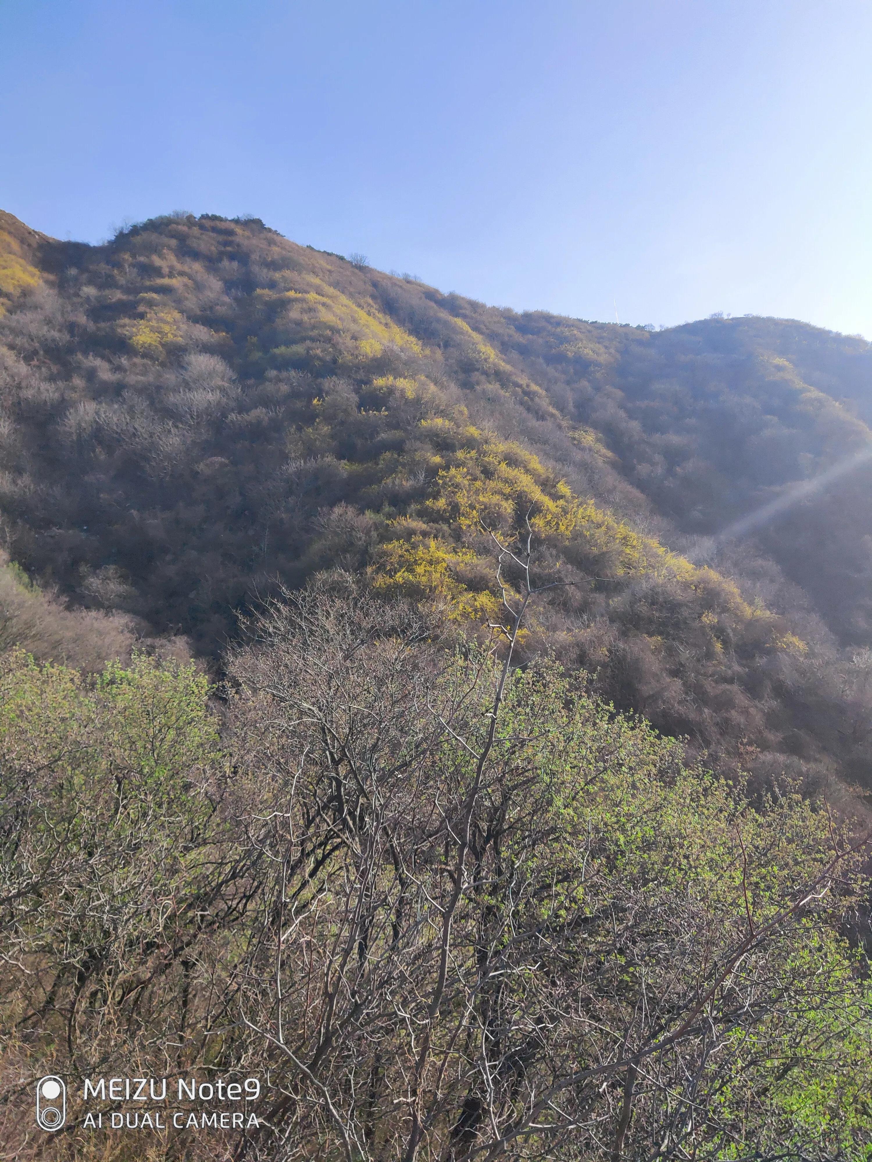 北人南渡体验桑海沧田