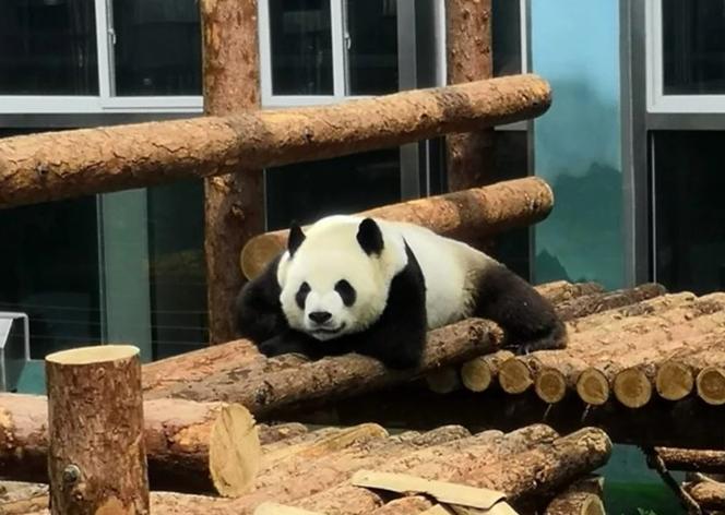 大连滨海路几月最美,大连最美季节