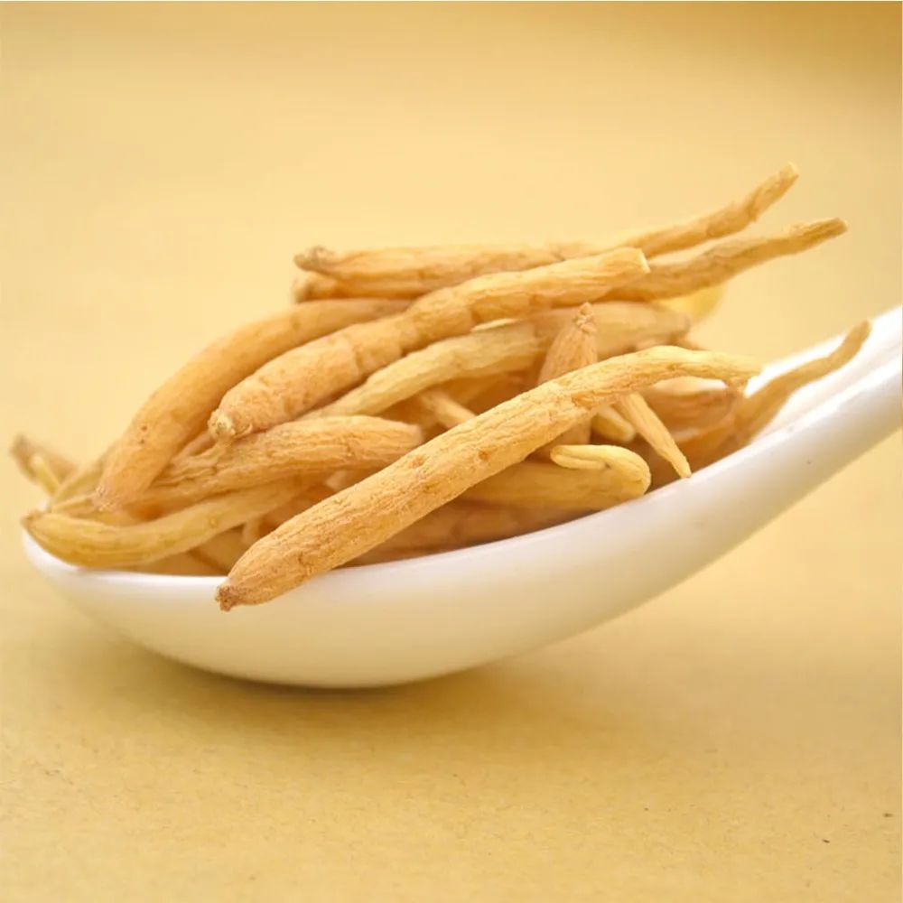 《神农识药》疏调生力汤之太子参