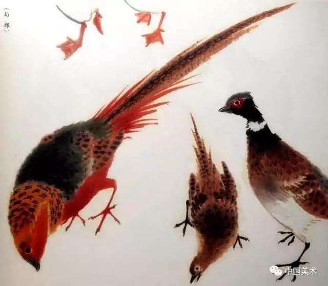 禽鸟画教程,最简单的禽鸟画法