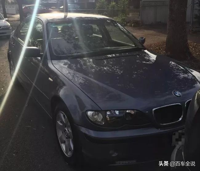 「澳洲系列」你吃过袋鼠吗？我撞过