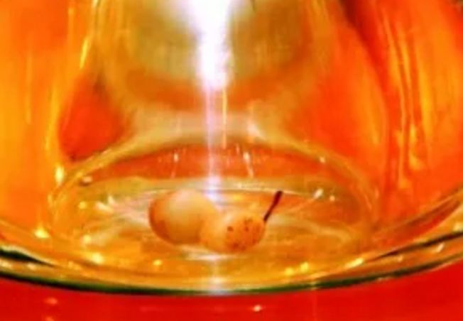 得道高僧火化为啥有舍利子,得道高僧为什么火化后会有舍利子