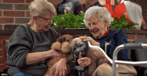 93岁奶奶恶搞27岁孙子一夜爆红！千万网友实力围观：奶奶太坑了！