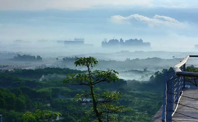 深圳花海公园推荐景点有哪些,深圳花海公园地址在哪里