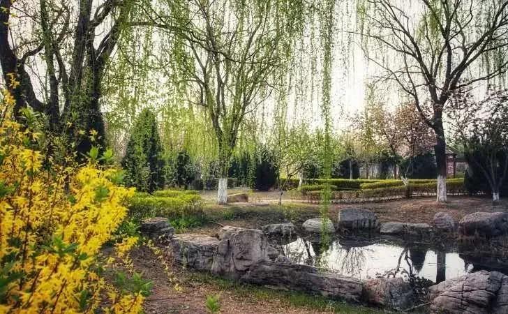 天津市普通高等院校,天津师范高等专科学校