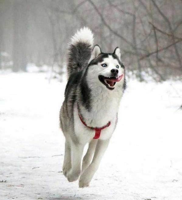 “兄弟睡觉压得胳膊都变色了，要不要叫醒他？”醒来一定很酸爽