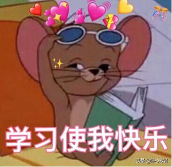 国集大佬亲述：首战数*联学**赛，考多少分才不丢人