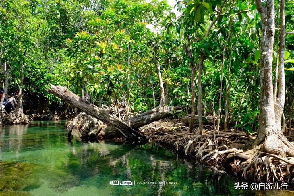 泰国#甲米府#超级旅行宝典