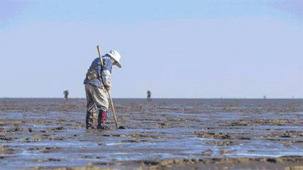 五一适合亲子游的五日游,亏欠孩子的时光用什么补