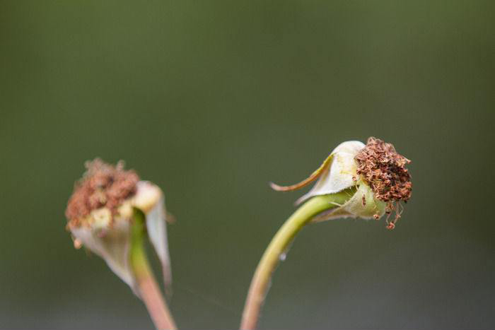 说文解字第0019集,说文解字第143课全集