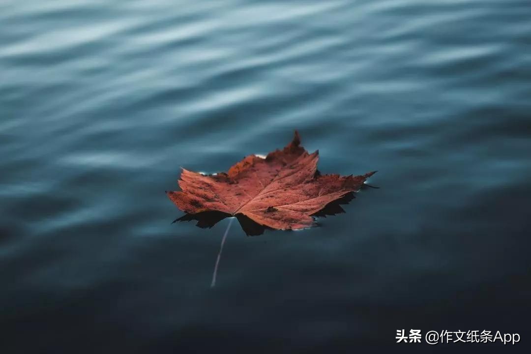 中考作文抢分新素材,议论文作文高级词汇