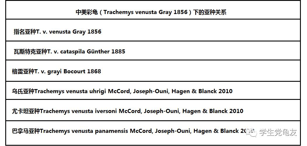 真假李逵——我们买到的“大河甜甜圈”是何许龟也？