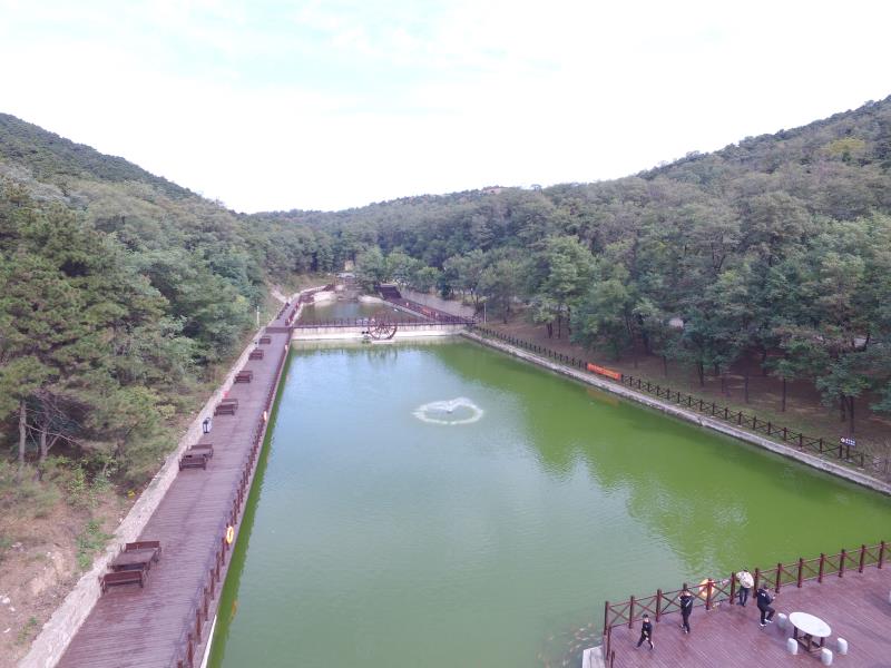 十大景点沈阳,沈阳鸟岛附近最美公园
