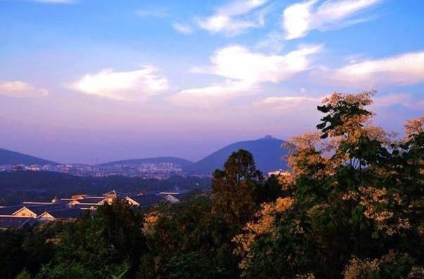 徐州醉美楼兰,徐州醉美火锅鸡