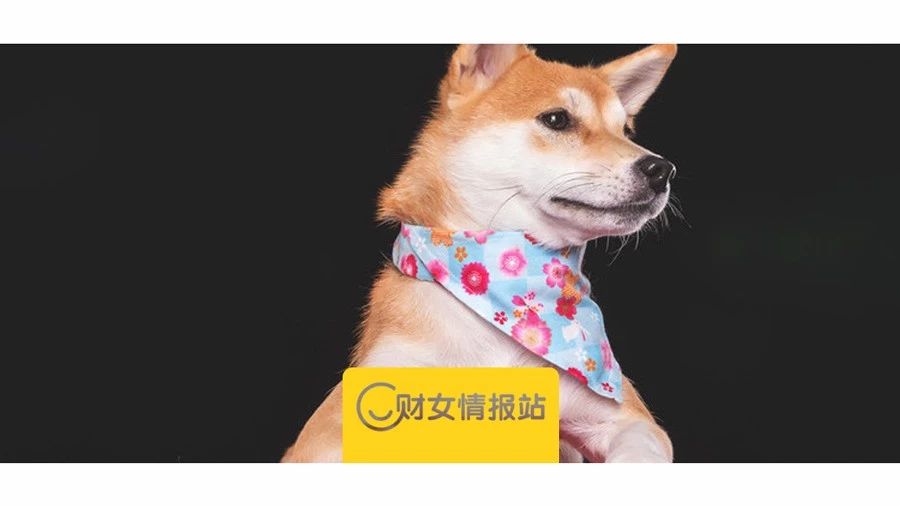 哪些p2p平台可以投,p2p现在还能投什么