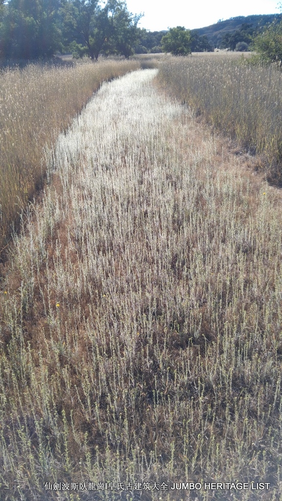 第3045回:人生一世草生一春,来如风雨去似微尘