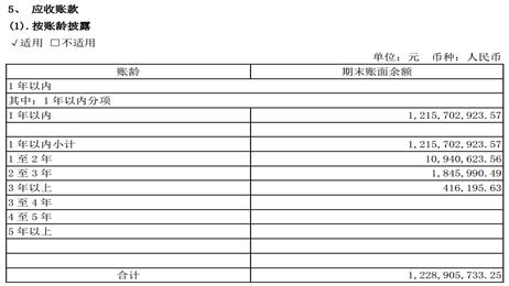 上市公司的应收账款和应收票据,上市公司财务报表分析报告模板