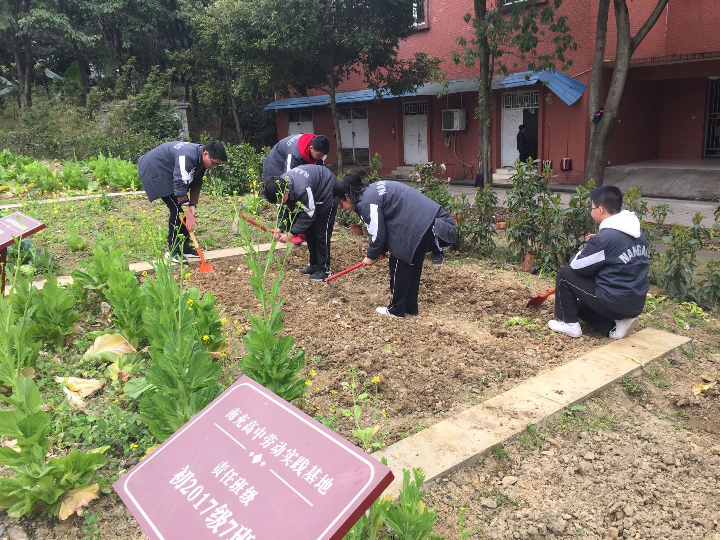 鏄ヨ妭涓嶆墦鐑婂啿鍒哄紑闂ㄧ孩,鏄ヨ妭涓嶆墦鐑婂紑闂ㄧ孩