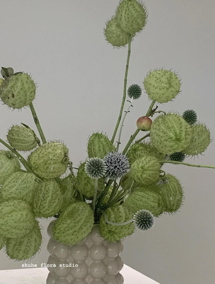 家里要有氛围感什么花比较好,家里高级的花