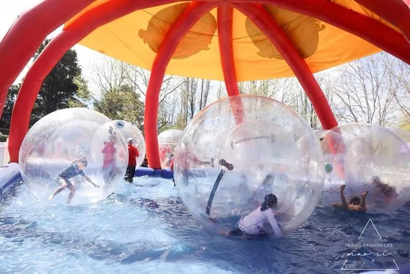 澳洲|春意堪培拉,看袋鼠、品酒、赏花、住进动物的家