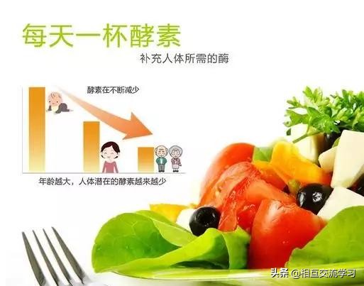 8月上海酵博会告诉您-别人喝酵素瘦了,为什么你胖了?