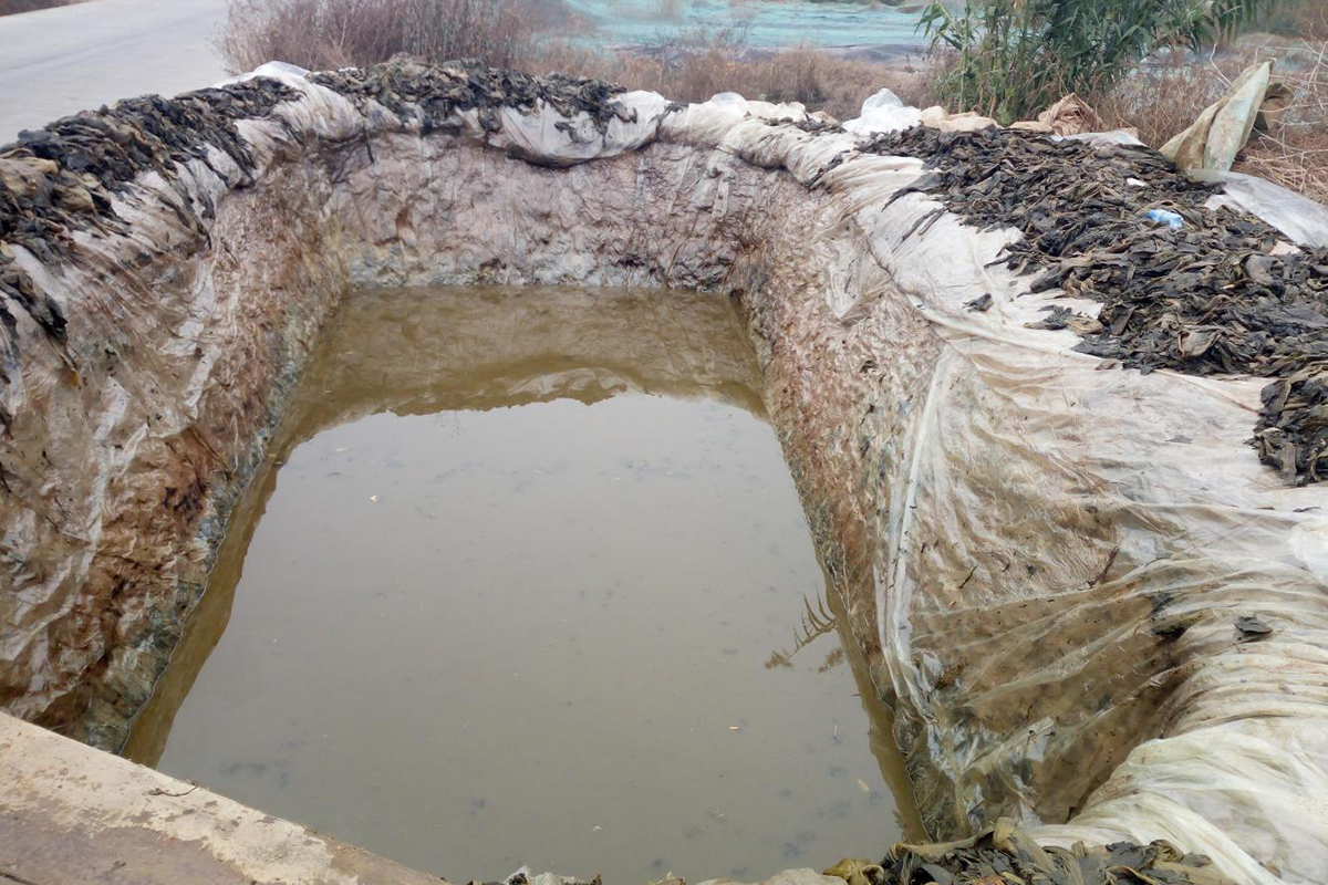 腌制池会产生硫化氢吗,腌制食品过程中会产生硫化氢吗