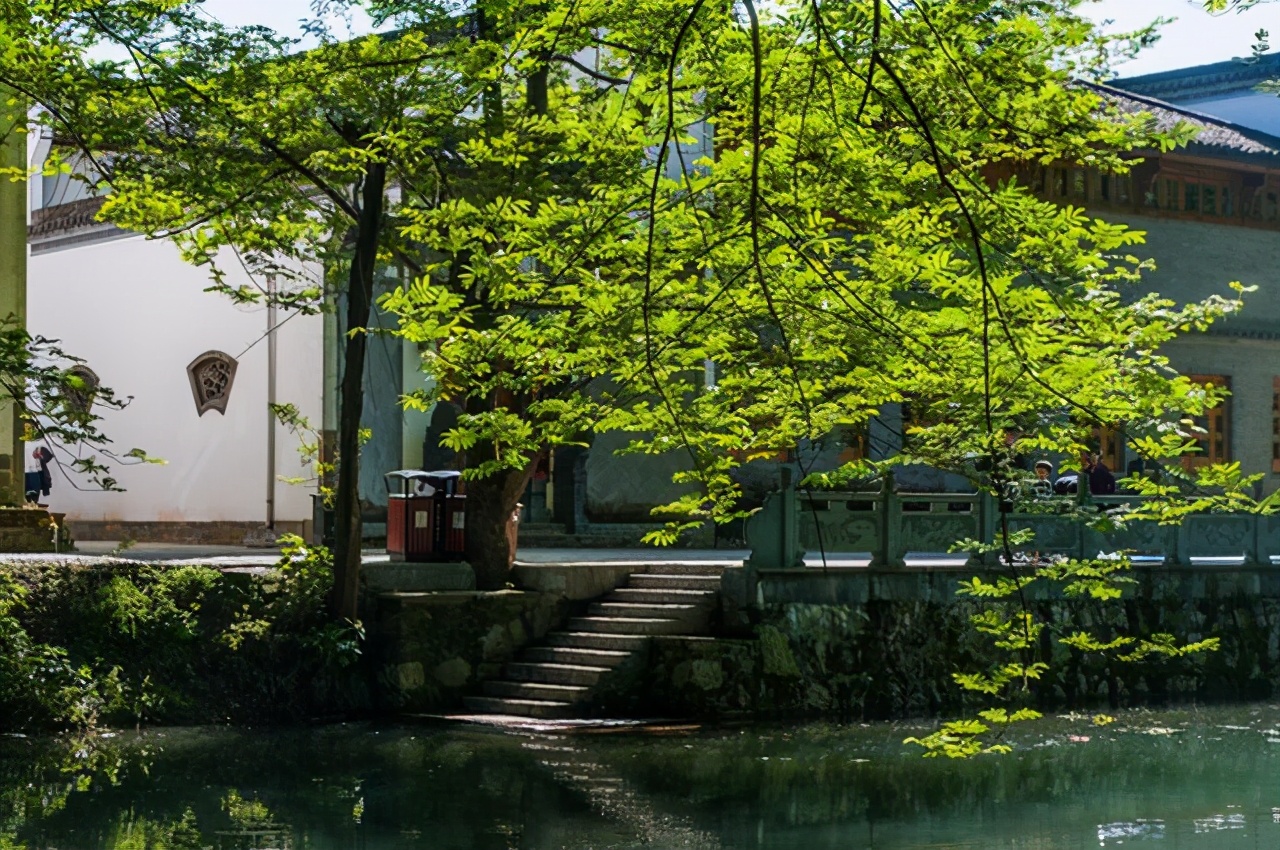 黄山西溪南古村旅游,西溪湿地五一