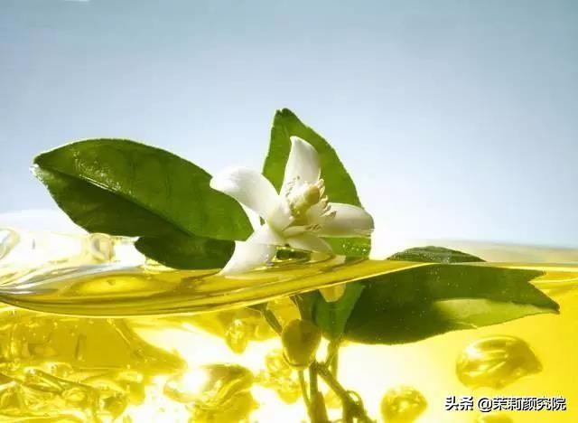 芳香精油入门课精油调配知识,精油入门基本知识