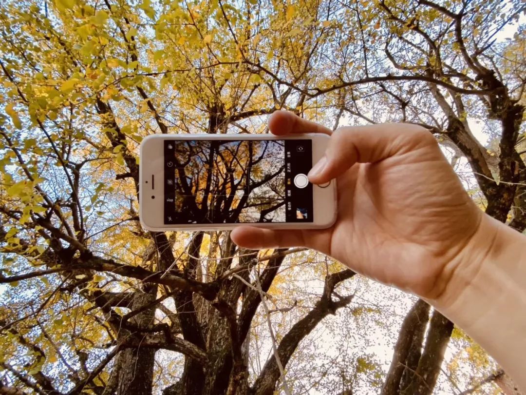 iphone原相机拍照磨皮修图,iphone好用的拍照修图软件