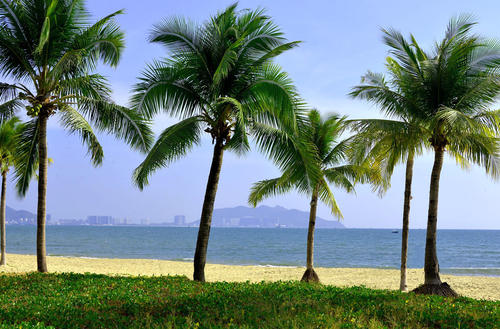 正宗椰汁从小喝到大是怎么回事,为什么椰树牌椰汁最好喝