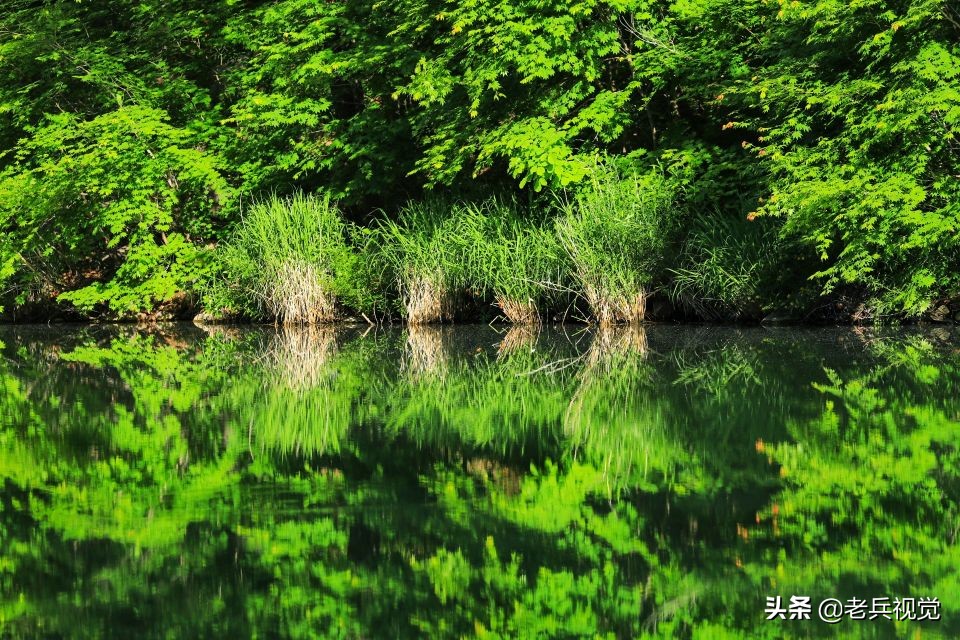 有一种旅行，叫去桓仁看绿