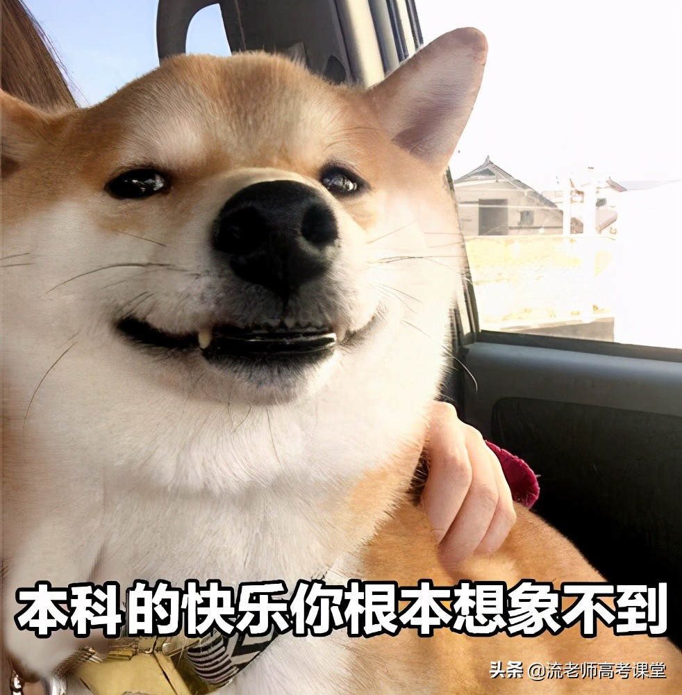 考不上二本读哪些学校,高考考不上还可以在本校复读吗