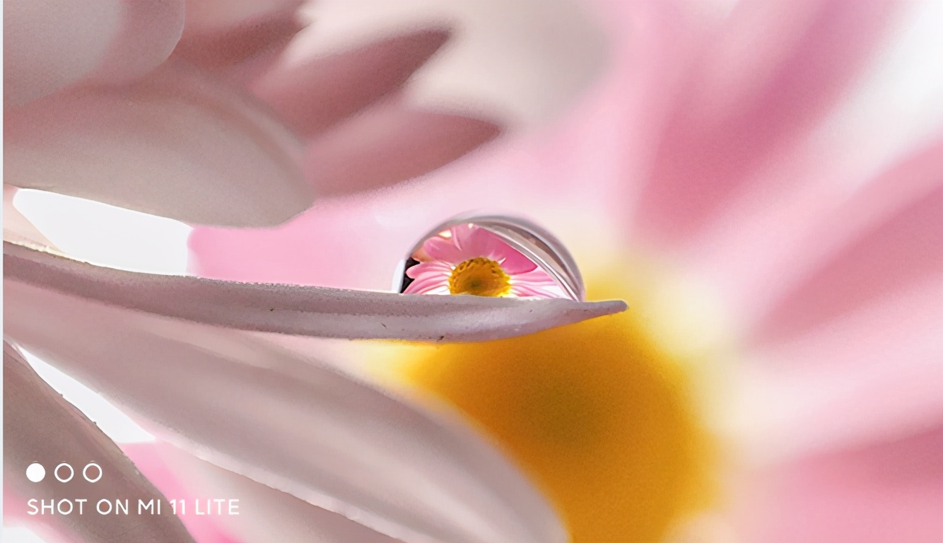 米粉选啥性价比高,米粉性价比