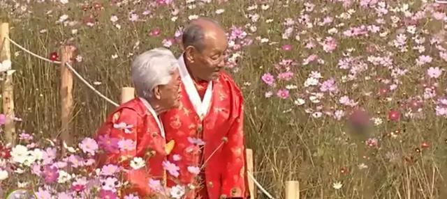 男人入赘女方家都是什么下场,男人入赘到女方要做到什么