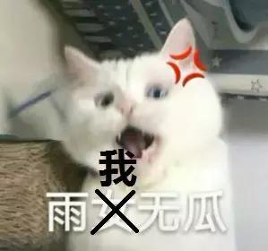 《一路成年》重磅来袭，成人版的爸爸去哪儿，嘉宾阵容强大