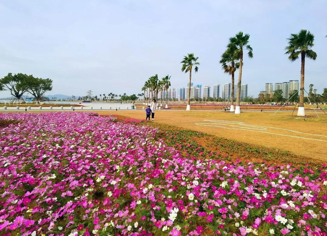 榜单上后面的数字怎么隐藏,榜单上升作品