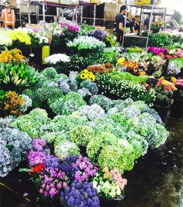 亚洲最大花市宛如仙境,中国最牛的花市