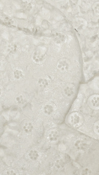 驭帅13深度测评,李宁驭帅13拆解