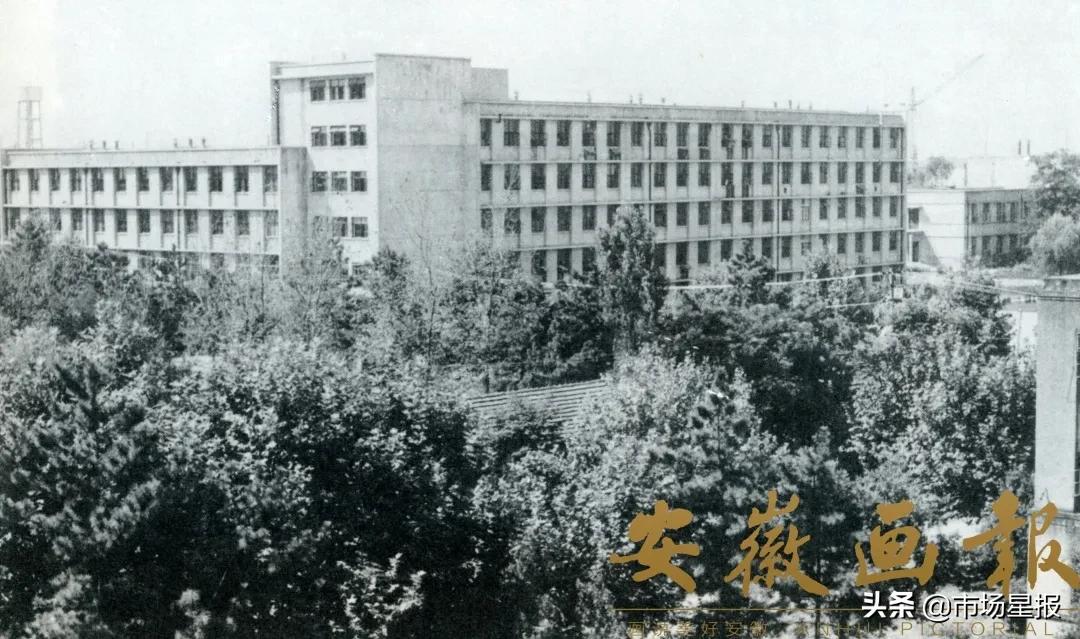 中国科大为何迁往合肥的科研院所,科大搬迁到合肥背后的故事