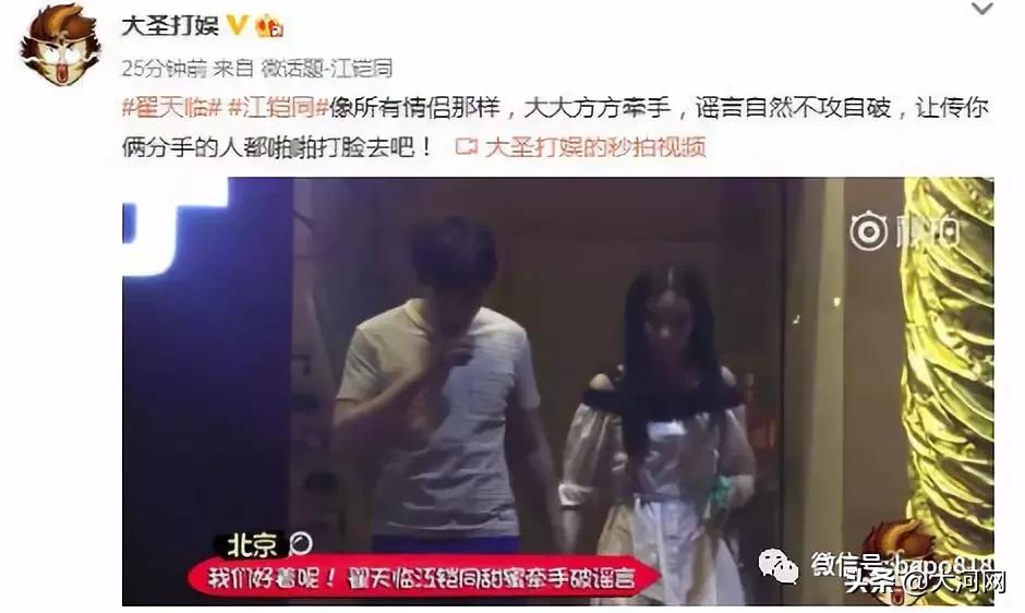 翟天临博士论文真假,翟天临的论文真的造假么