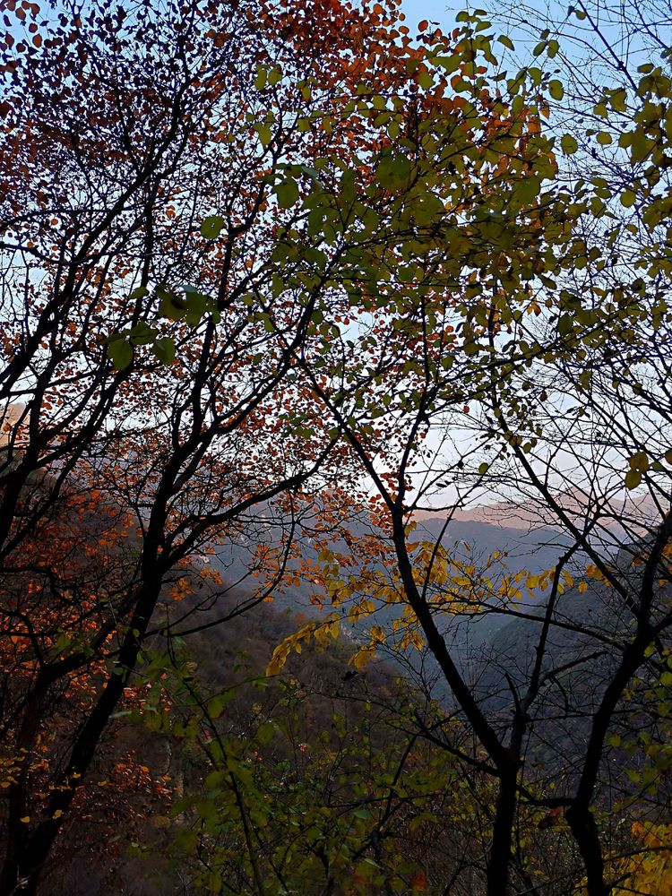 20201101惊悚之行~首阳山大坪梁单日横穿+原返